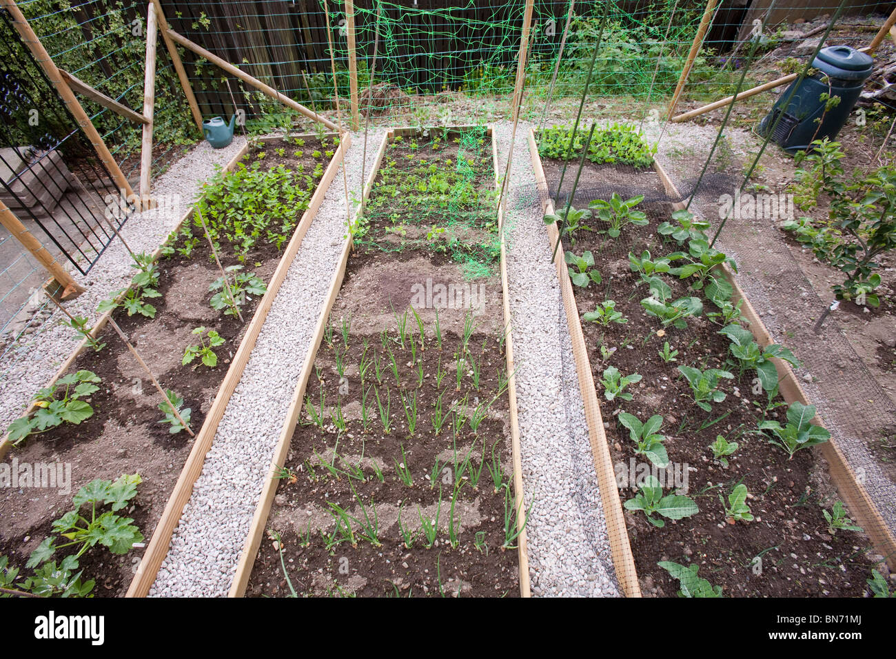 Guerilla gardening in Ambleside. Dieser Bereich des ehemaligen Brachland wurde übernommen und ein Gemüsegarten umfunktioniert. Stockfoto