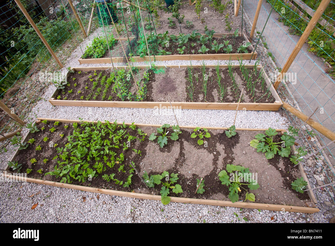 Guerilla gardening in Ambleside. Dieser Bereich des ehemaligen Brachland wurde übernommen und ein Gemüsegarten umfunktioniert. Stockfoto