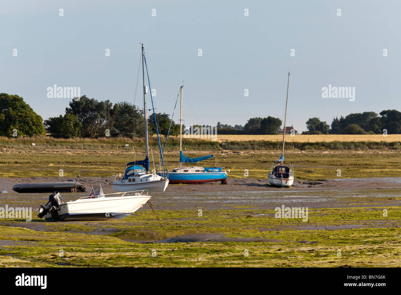 Boote von Ebbe Ar Bosham in Chichester Hafen gestrandet Stockfoto