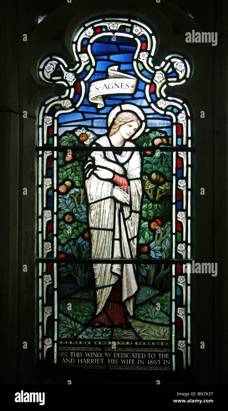 Ein Glasfenster, die Darstellung der Heiligen Agnes hält ein Lamm, Kathedrale von Gloucester, von Morris & Co Stockfoto