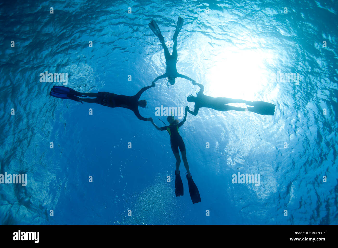 Schnorchler führen spielerisch Wasserakrobatik in der Karibik Stockfoto