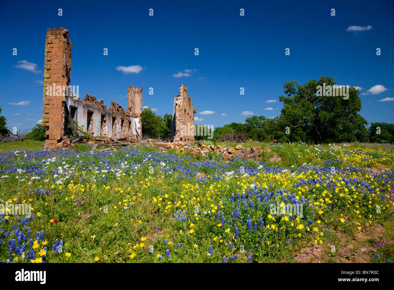 Verlassene Gebäude Ruinen einer ehemaligen Schule mit einer Vielzahl von Wildblumen in das Hügelland in Pontotoc, Texas, USA. Stockfoto
