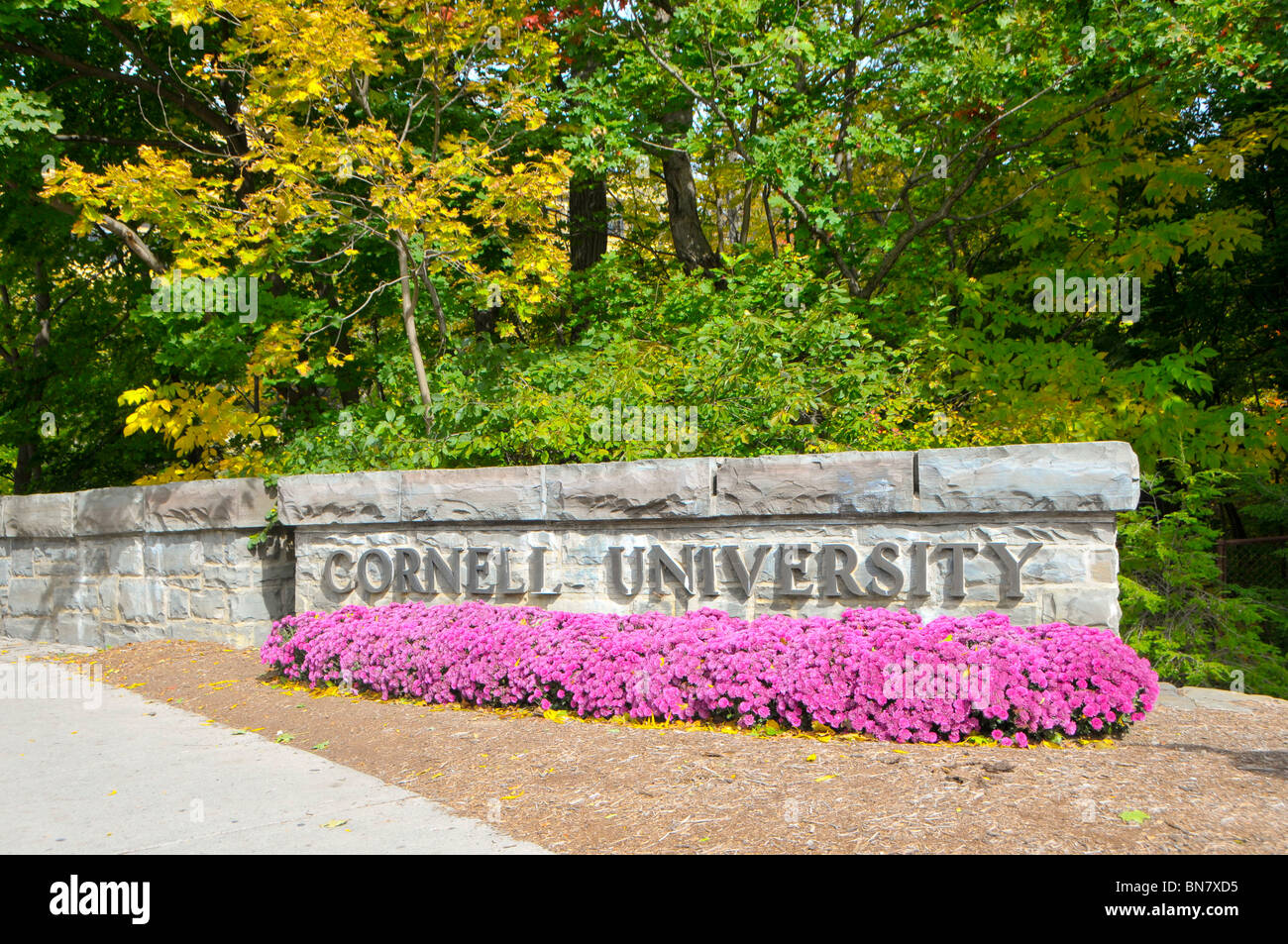 Cornell University Campus Ithaca New York Region der Finger Lakes Stockfoto