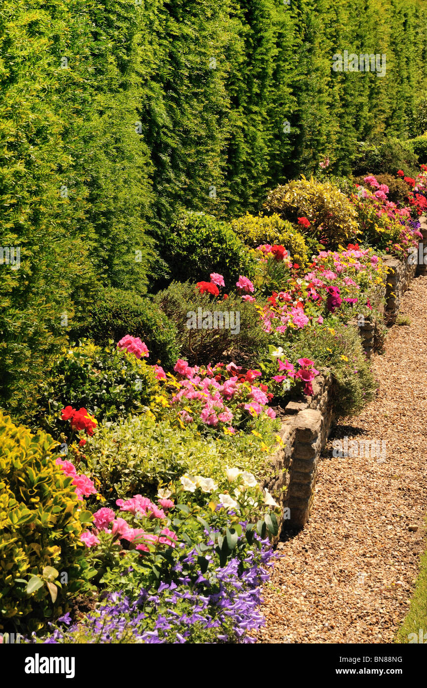 Sommer blühenden Grenze in einem englischen Garten Stockfoto