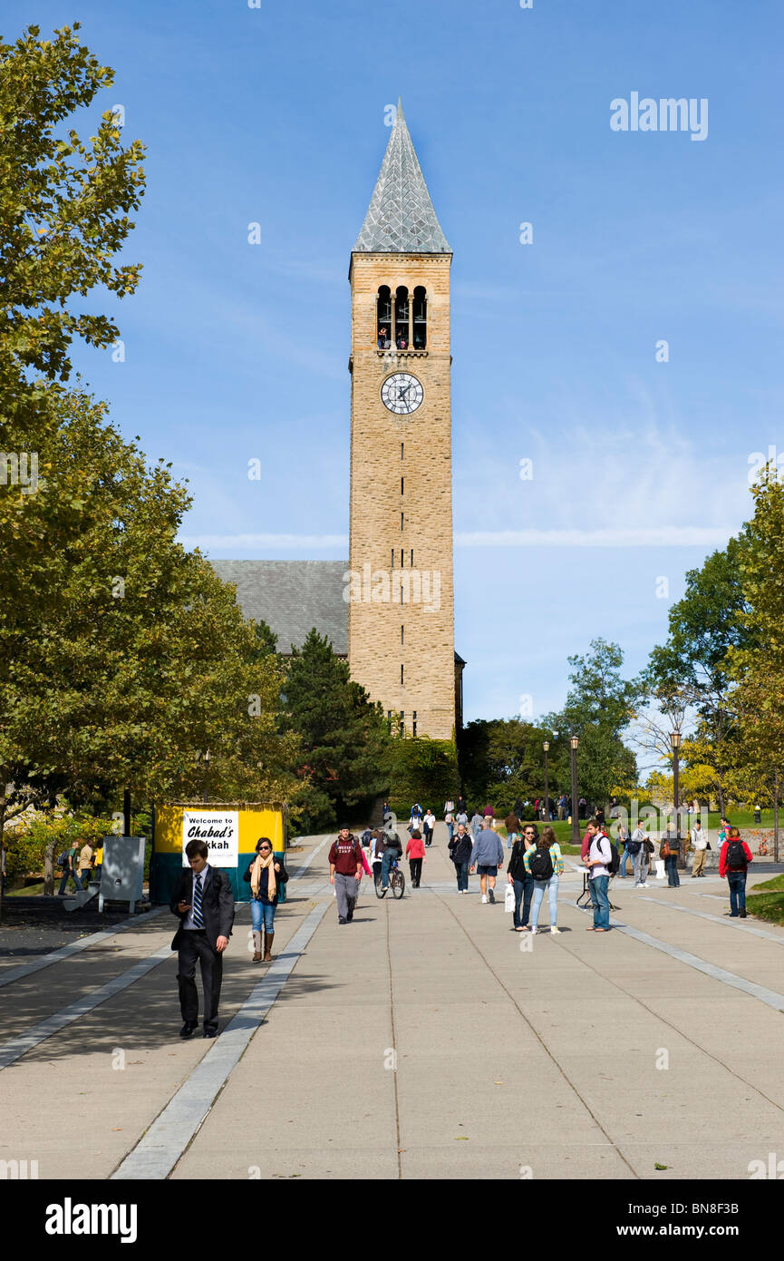 McGraw-Turm und Glocken Cornell University Campus Ithaca New York Region der Finger Lakes Stockfoto