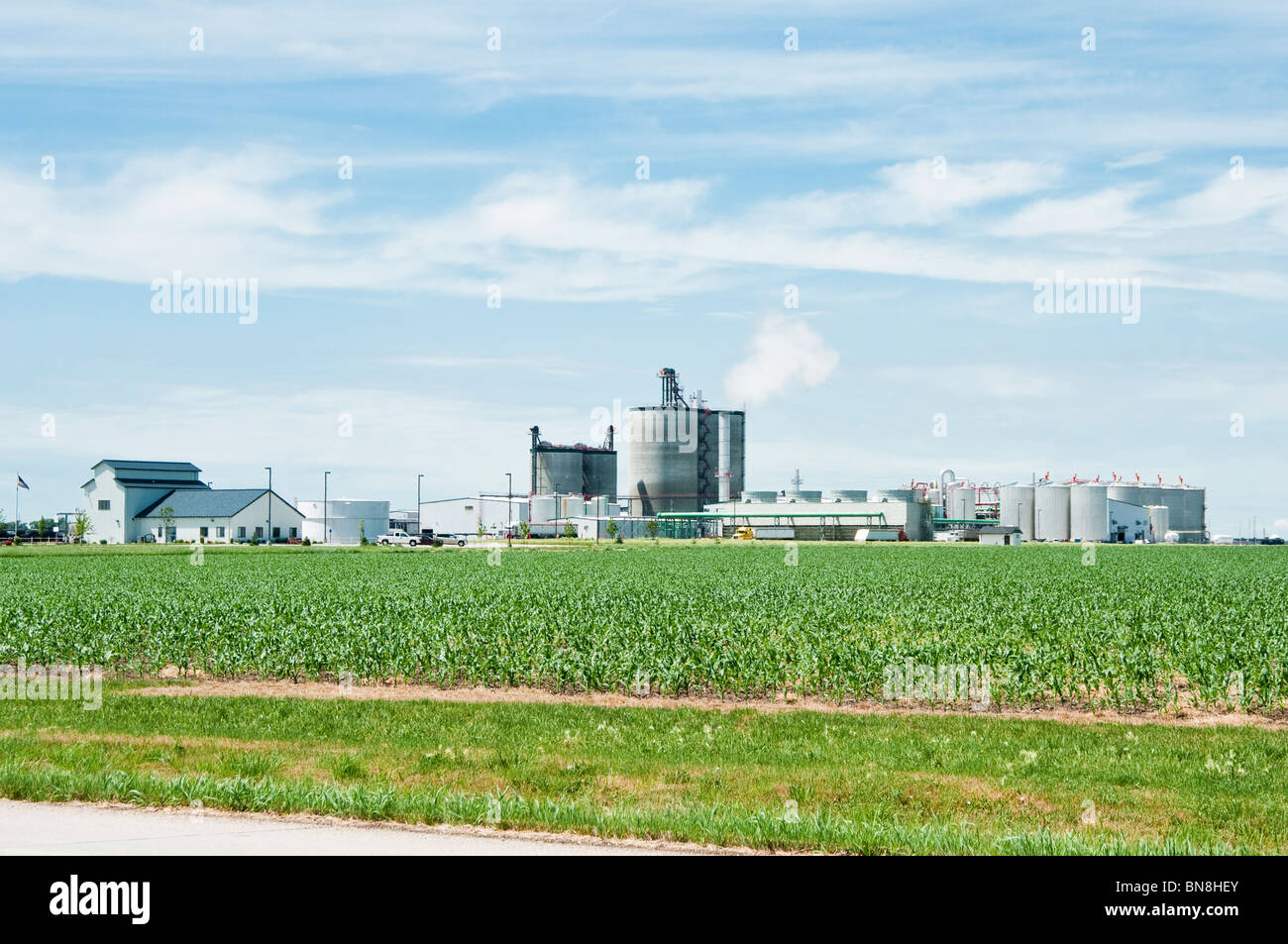 Ein Ethanol Aufbereitungsanlage in Nebraska mit einem Maisfeld im Vordergrund. Stockfoto