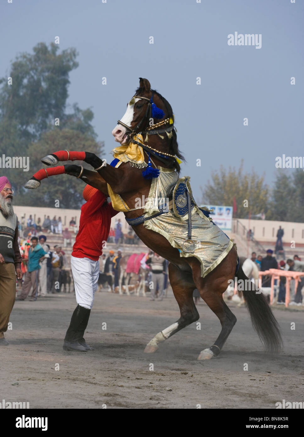 Muktsar Indien Maghi Mela Punjab Pferd tanzen Fair Stockfoto