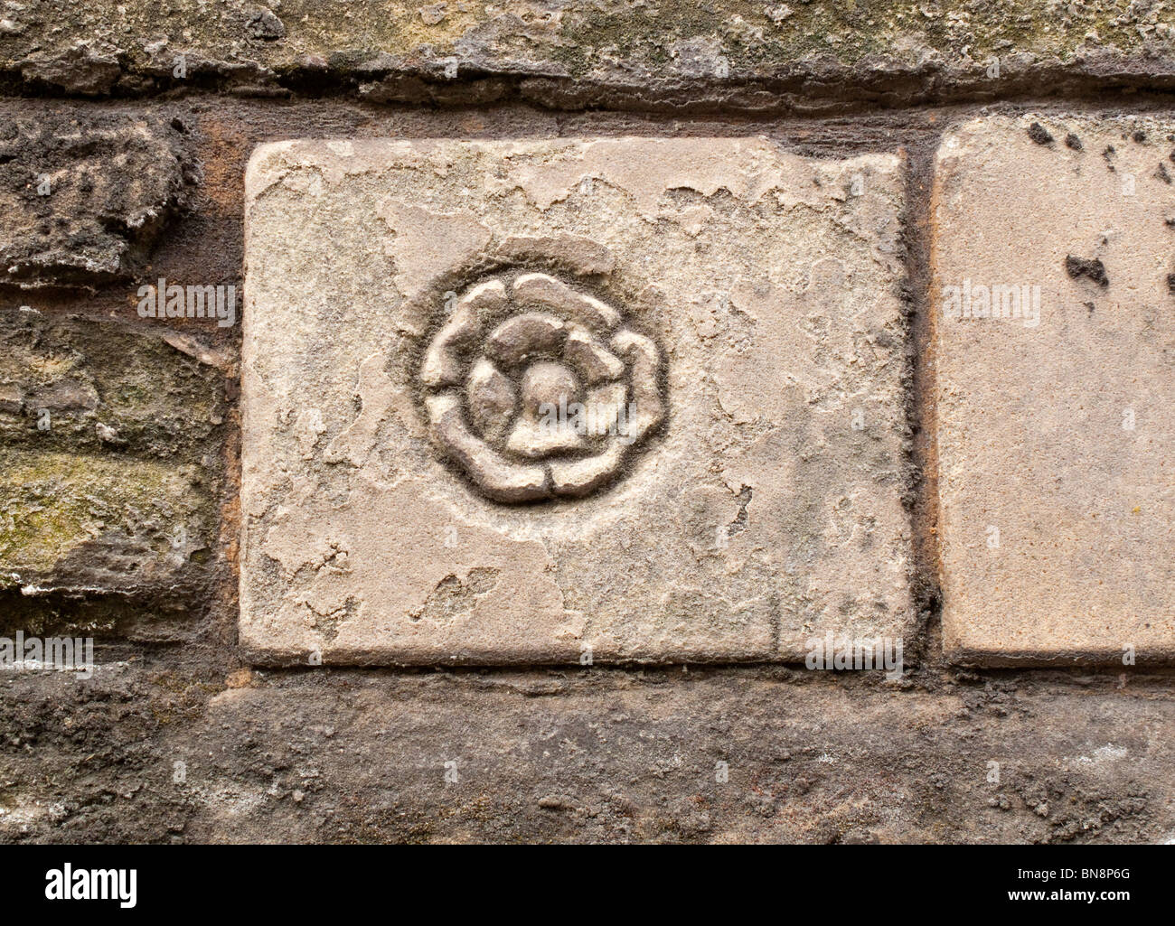 Detail der rose Symbol auf Steinmauer vor Lord Leycester Hospital in Warwick England UK Stockfoto