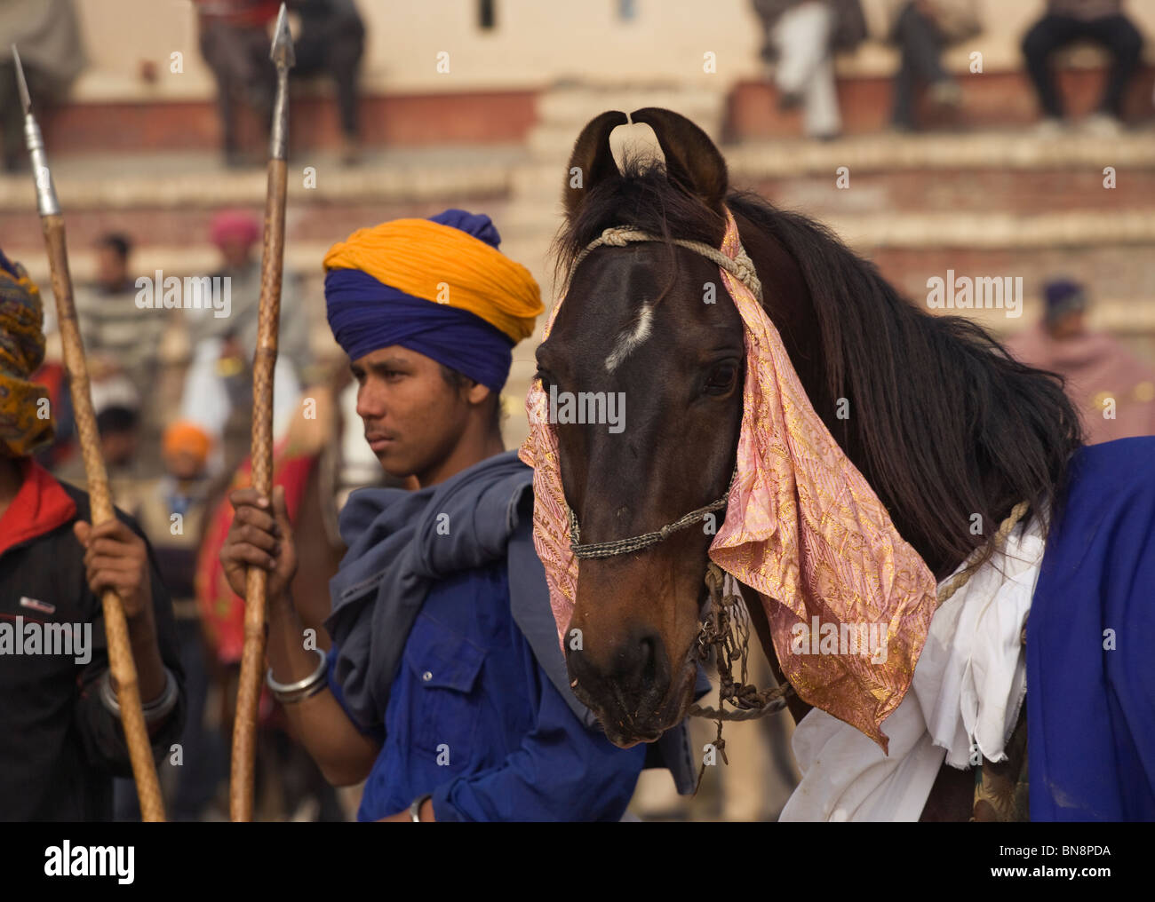 Pferd-Indien Muktsar Nihang Sikh-Mounter-Krieger Stockfoto