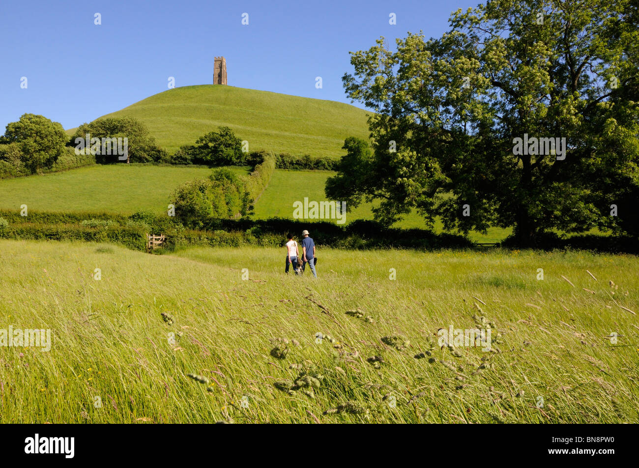 Blick über Felder, Glastonbury Tor, Somerset, England, UK. Stockfoto