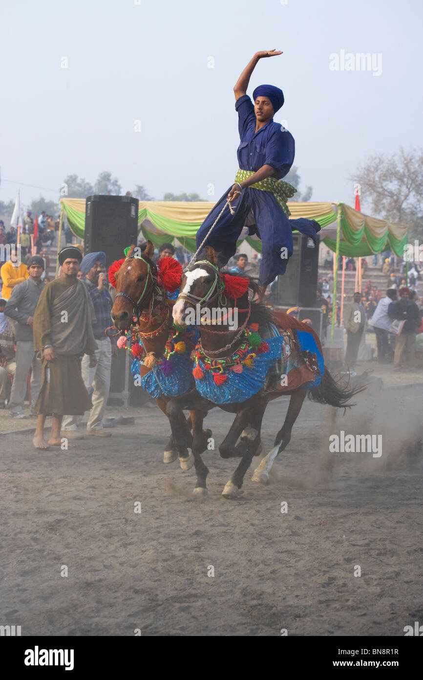 Pferd-Indien Muktsar Nihang Sikh-Mounter-Krieger Stockfoto