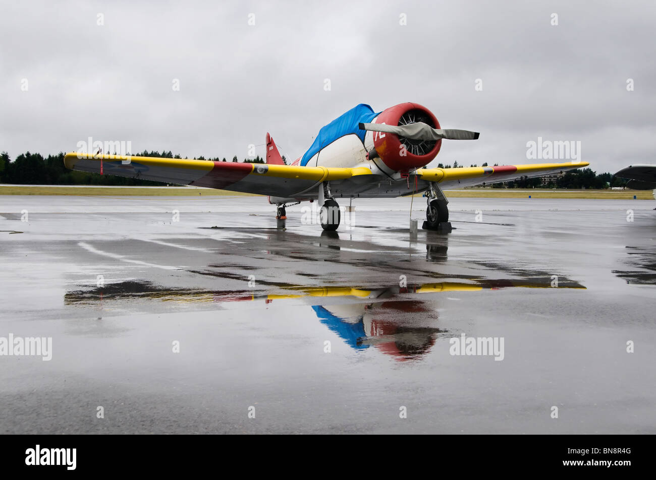 Schöne Vintage SNJ-5 US Navy fortgeschrittene Trainer ist auf dem Display vor dem Flug auf der Olympic Airshow in Tumwater, Washington. Stockfoto