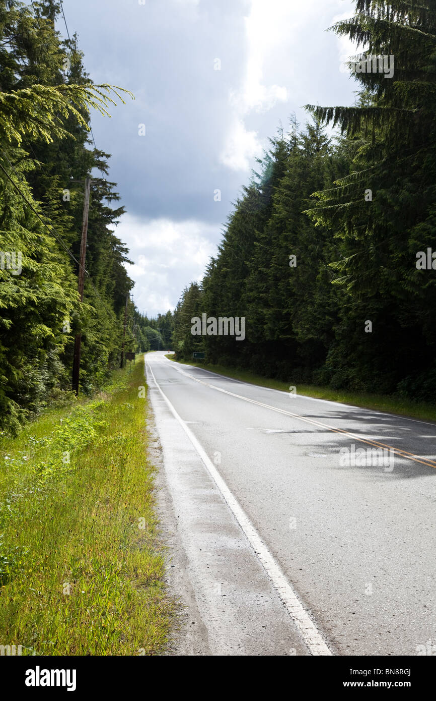 Waldweg für Nutzung im Hintergrund Stockfoto