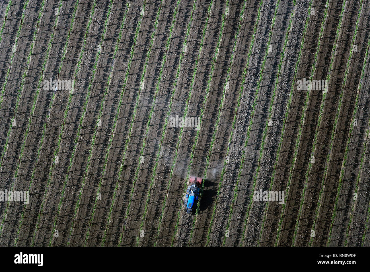 Luftaufnahme über Traktor Arbeiter arbeiten nördlichen kalifornischen Weingut Stockfoto