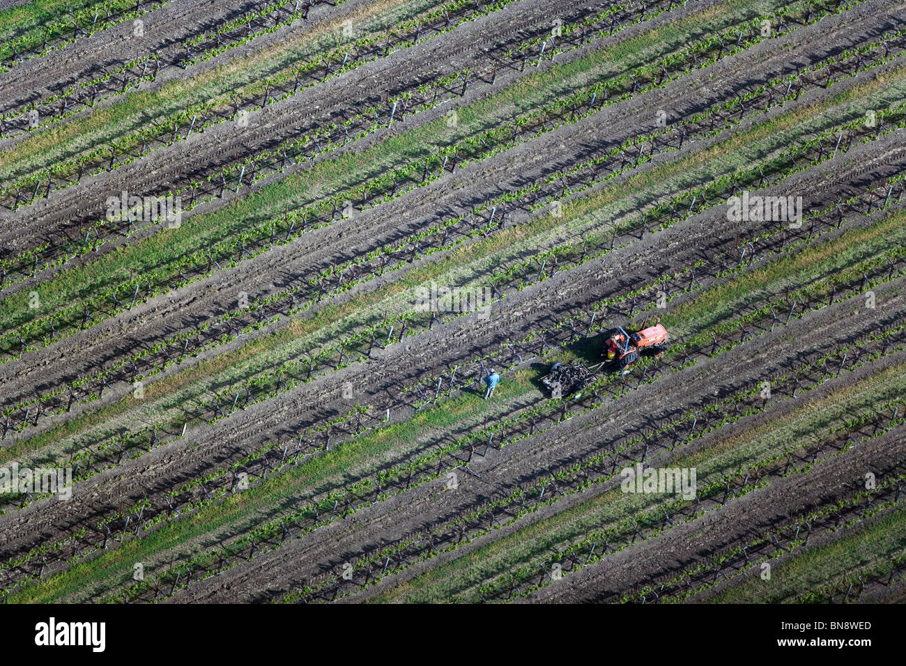 Luftaufnahme über Traktor Arbeiter arbeiten nördlichen kalifornischen Weingut Stockfoto