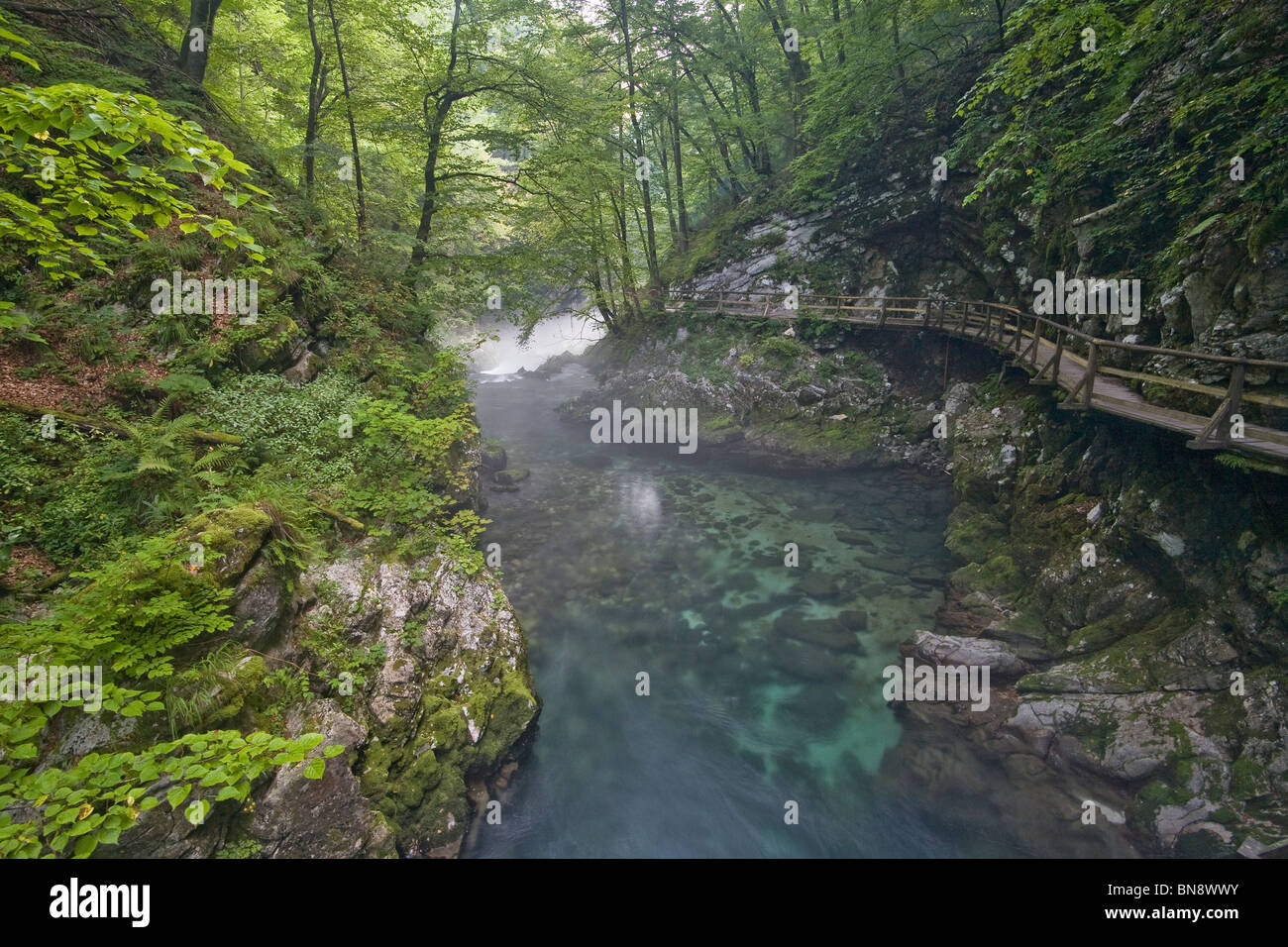 Nebel über einen rauschenden Bach fließt durch die Vintgar-Schlucht außerhalb von Bled, Slowenien. Stockfoto