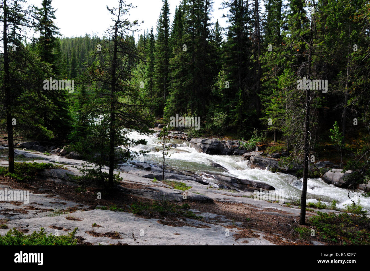 Maligne River. Jasper Nationalpark, Alberta, Kanada. Stockfoto