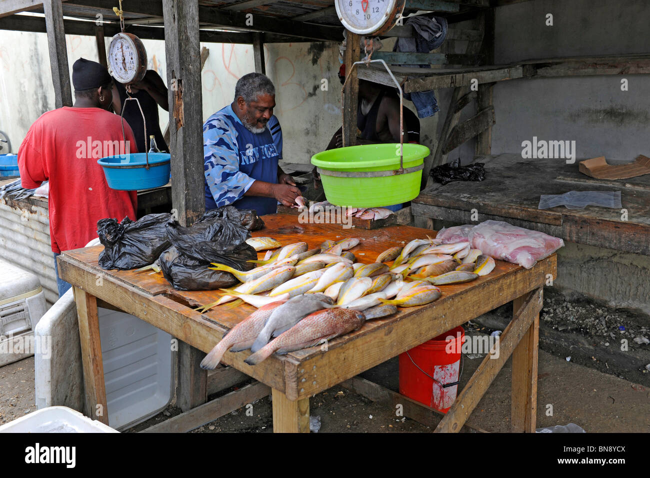 Fischmarkt in der Nähe von Caribbean Cruise Schiff in Belize City Belize Mittelamerika Stockfoto