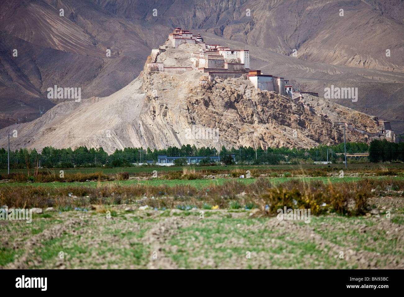 Gyantse Dzong oder Festung in Gyantse, Tibet Stockfoto