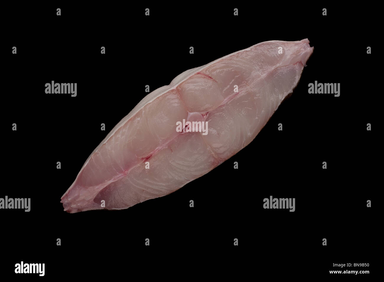 Heilbutt Fisch Steak. Plattfisch im Nordpazifik und Nordatlantik Ozeane gefunden Stockfoto