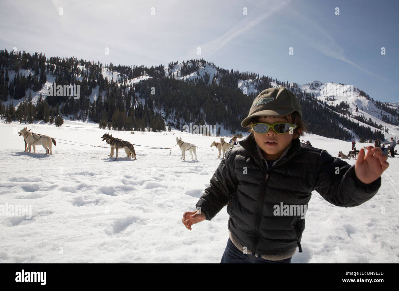 Gemischte Rassen junge im Schnee mit Hunden und Hundeschlitten Stockfoto