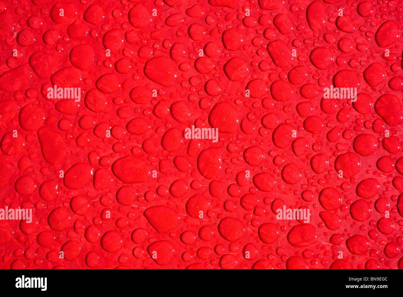 Nahaufnahme Makroaufnahme von Regentropfen auf einem roten Tisch Stockfoto
