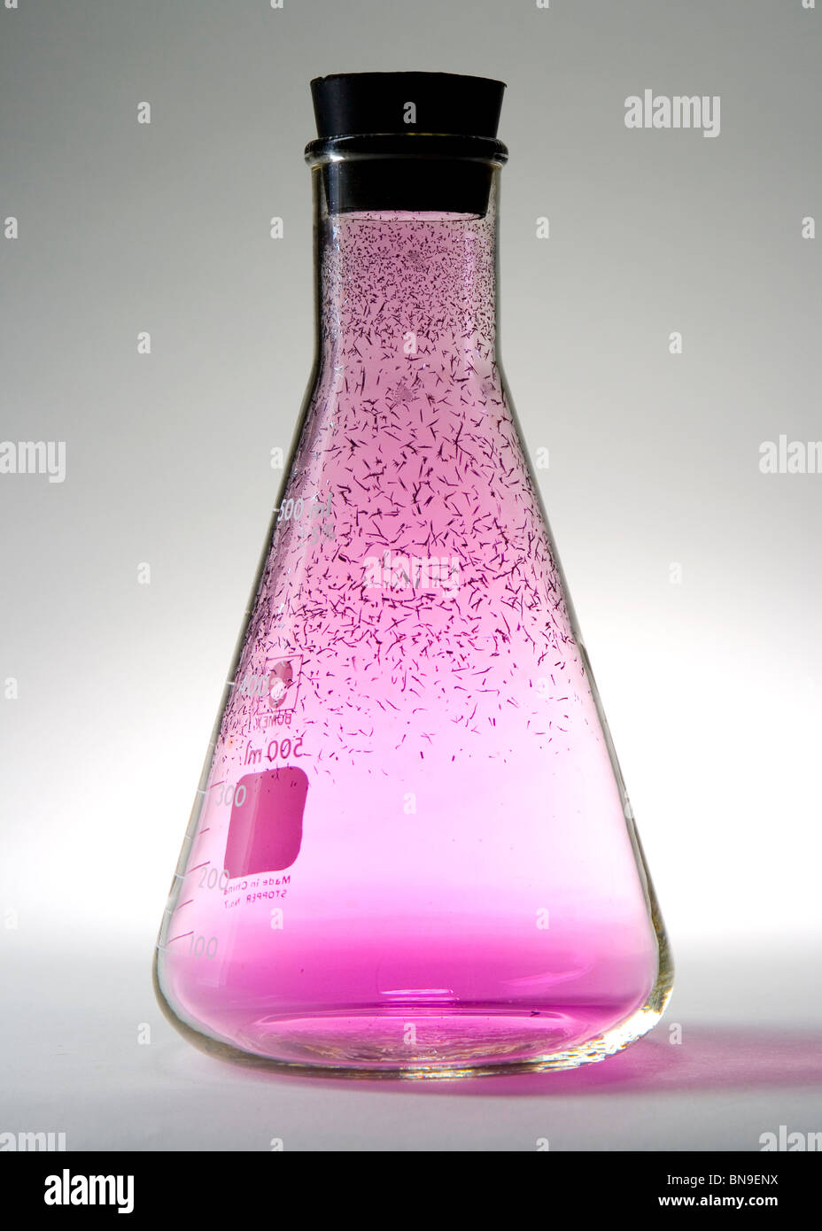 Jod-Gas in einem verschlossenen Erlenmeyer-Kolben (mit BN9DTT und Bild BN9EJ5 zur Darstellung der Gleichung H2 + I2 = HI) Stockfoto Jod-Gas in einem verschlossenen Erlenmeyer-Kolben (mit BN9DTT und Bild BN9EJ5 zur Darstellung der Gleichung H2 + I2 = HI) Stockfoto