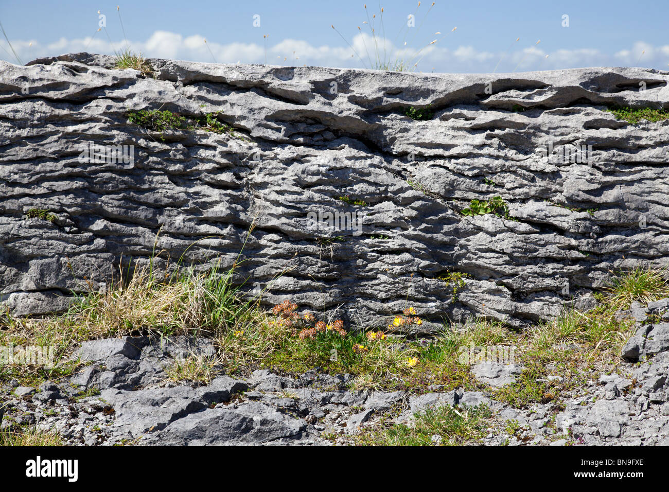 Quergestreiften Felsen auf dem Burren, Co. Clare, Irland Stockfoto