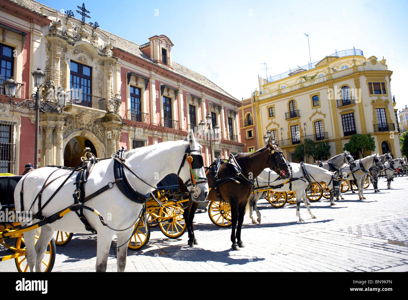 Pferdekutschen warten im Plaza del Triunfo, Sevilla, Andalusien, Spanien, Europa, Stockfoto