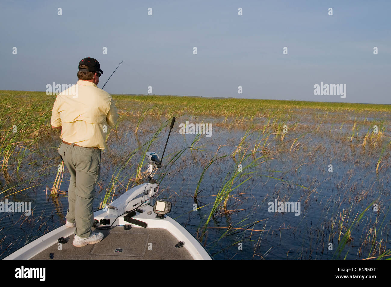 Ein Angler fischt eine weiche Kunststoff-Köder in den dichten Betten von Binsen und Sawgrass in Lake Okeechobee (FL), einen Largemouth Bass zu täuschen. Stockfoto