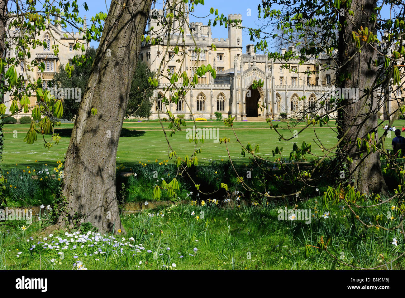 St Johns College im Frühjahr, Cambridge, England Stockfoto