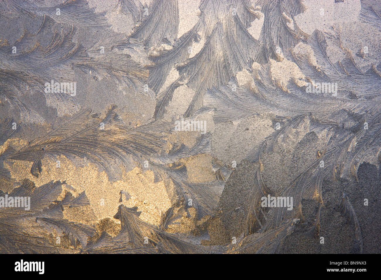 Eis-Muster in einem Fenster, Seward, Alaska. Stockfoto