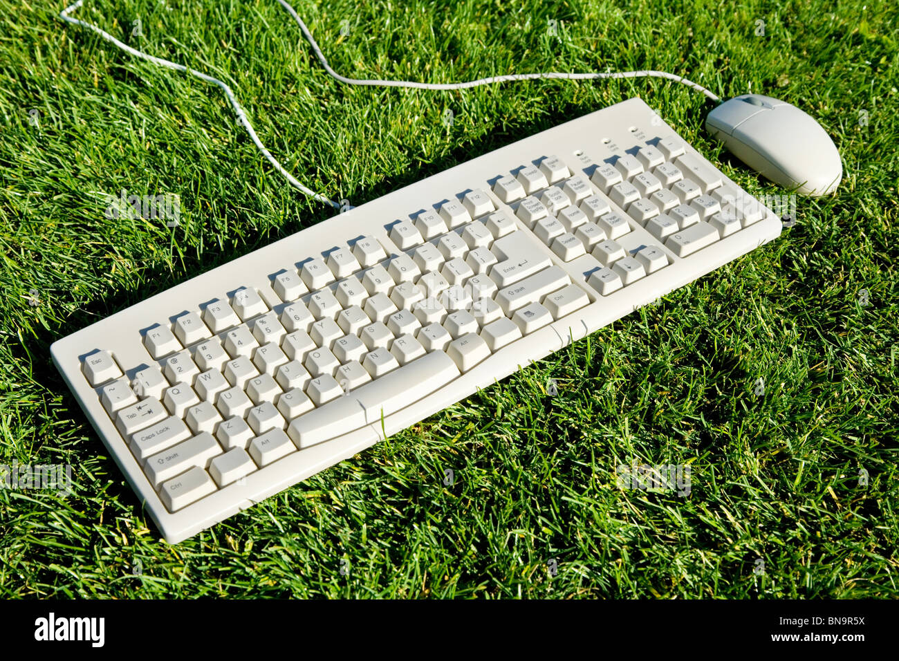 Computer-Tastatur und Rasen, Begriff der Freiheit, Schutz der Umwelt Stockfoto