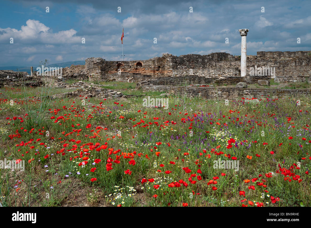 Eine einzelne Spalte mit der Domus Fulonica noch stehen darüber hinaus ein Feld von Wildblumen in Stobi, Republik von Mazedonien. Stockfoto