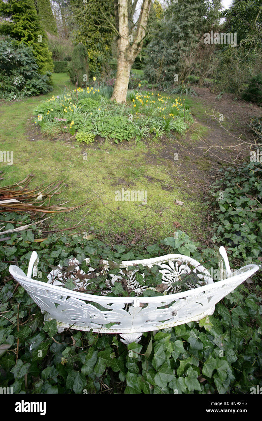 Weinend Asche Garten, England. Zeitigen Frühjahr Blick auf eine weiße Gartenbank Weeping Asche Gardens. Stockfoto