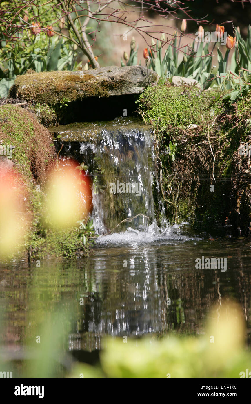 Stonyford Bauerngärten, England. Malerischen Frühling Blick auf Teich und Wasser Feature Stonyford Bauerngärten. Stockfoto
