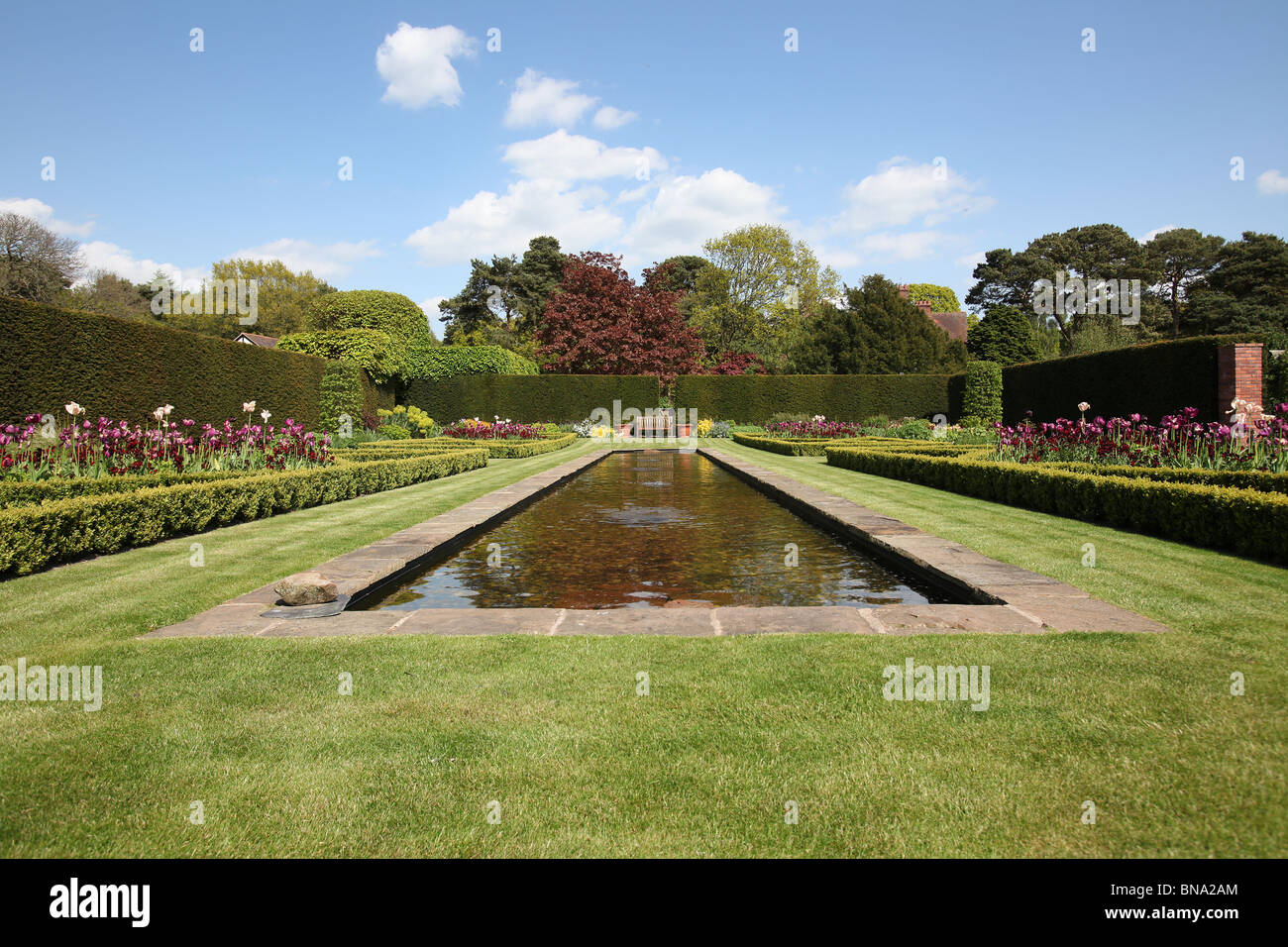 Abbeywood Garten, Cheshire. Frühlings-Blick auf Abbeywood Garden Poolgarten. Stockfoto