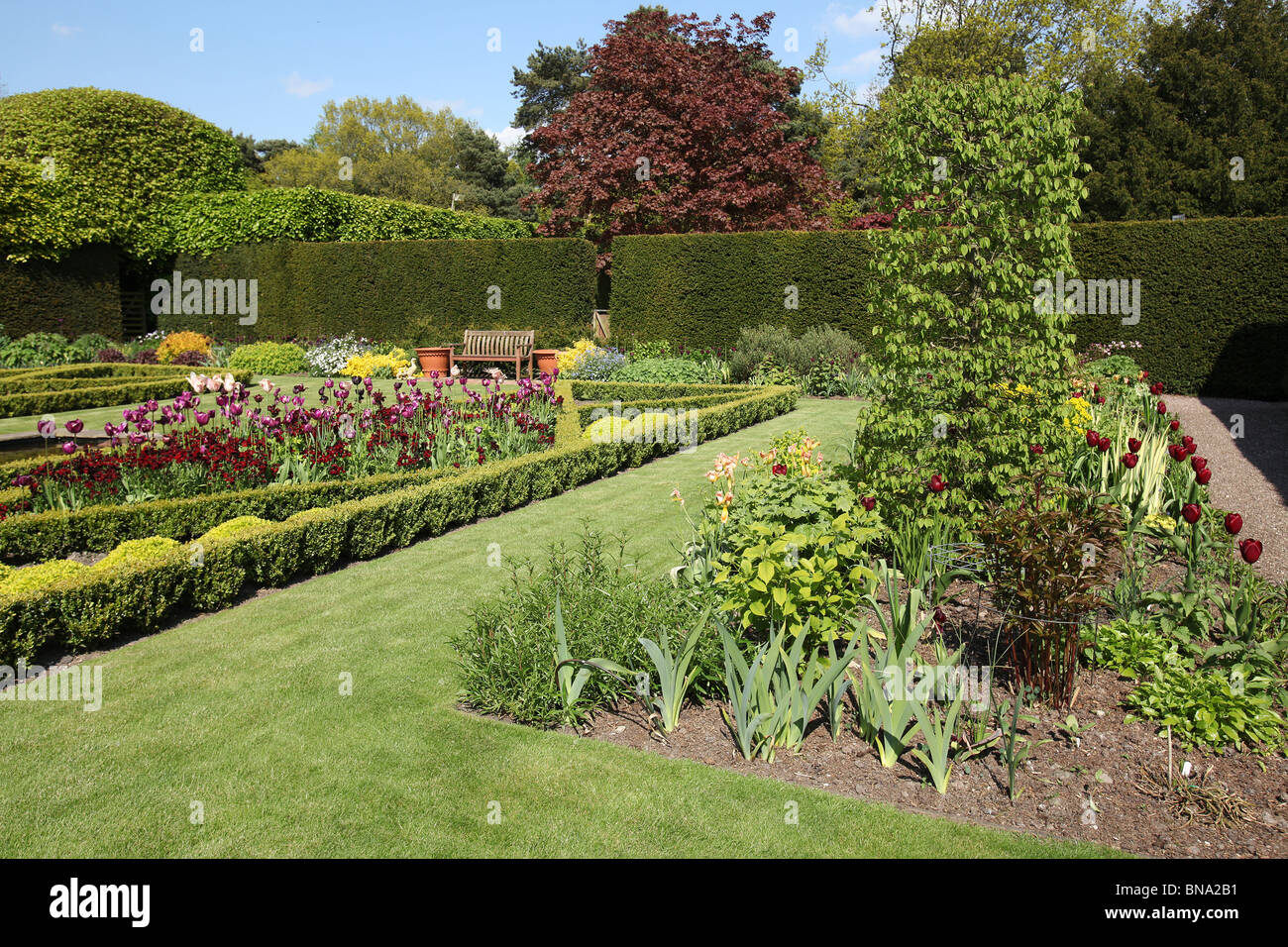 Abbeywood Garten, Cheshire. Malerischen Frühling Ansicht des Parterres innerhalb Abbeywood Garden Poolgarten. Stockfoto