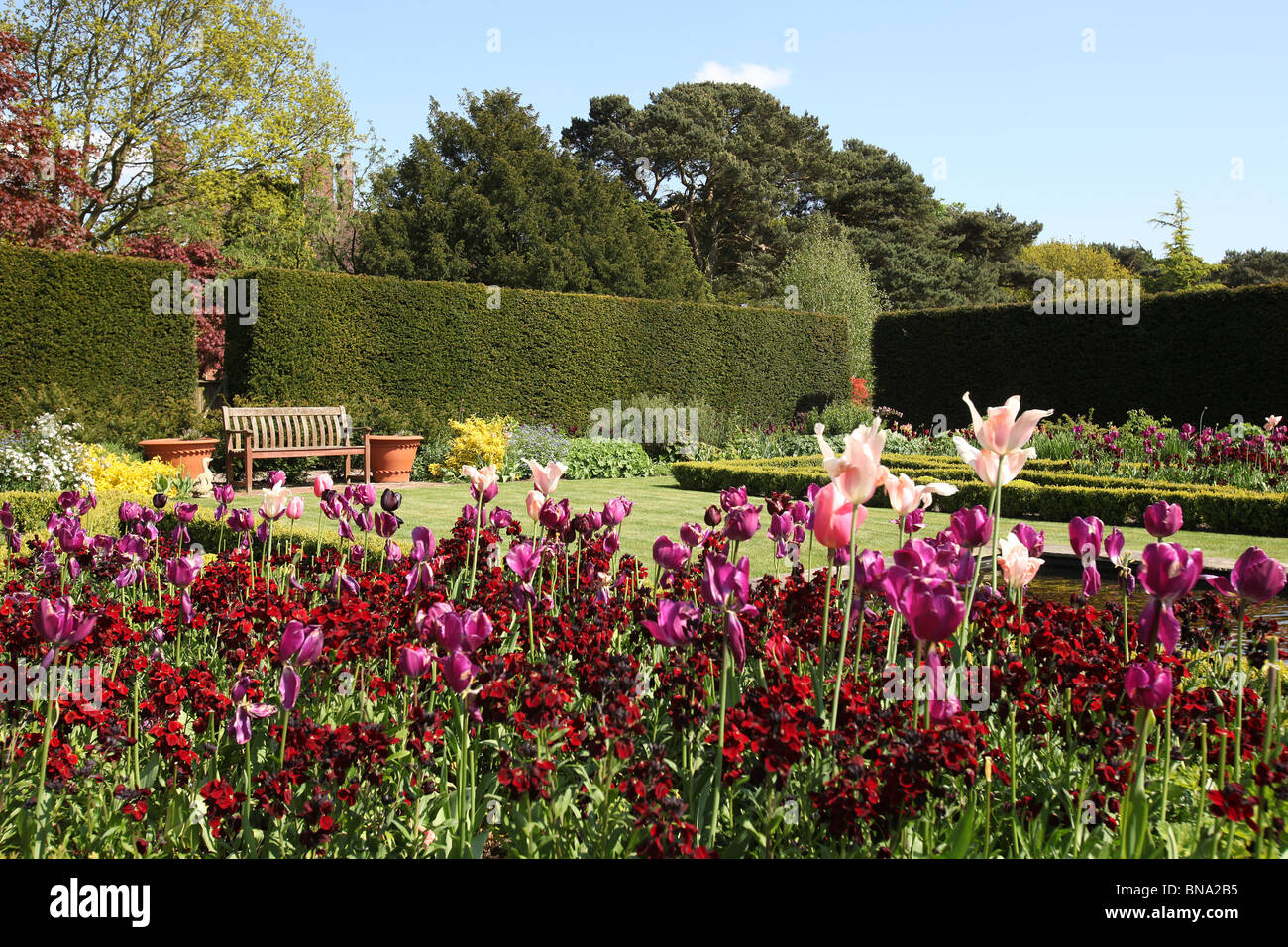 Abbeywood Garten, Cheshire. Malerischen Frühling Ansicht des Parterres innerhalb Abbeywood Garden Poolgarten. Stockfoto