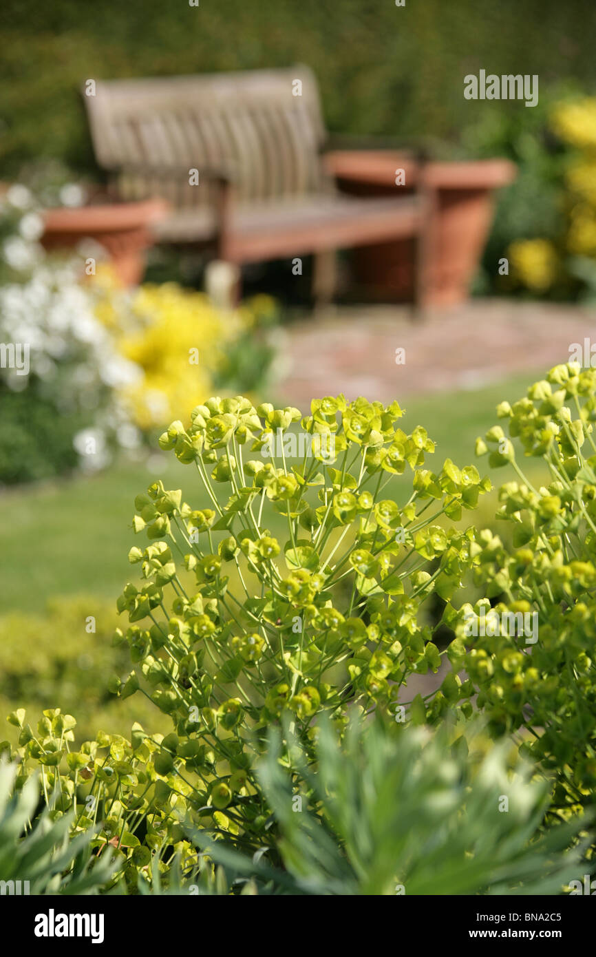 Abbeywood Garten, Cheshire. Malerische Frühjahr Blick auf Abbeywood Garten. Stockfoto