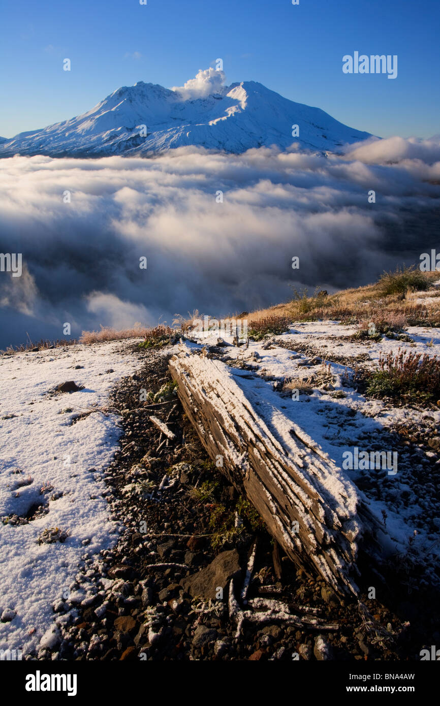 Mt. St. Helens Volcano Nationaldenkmal mit Herbst erste Schnee Stockfoto