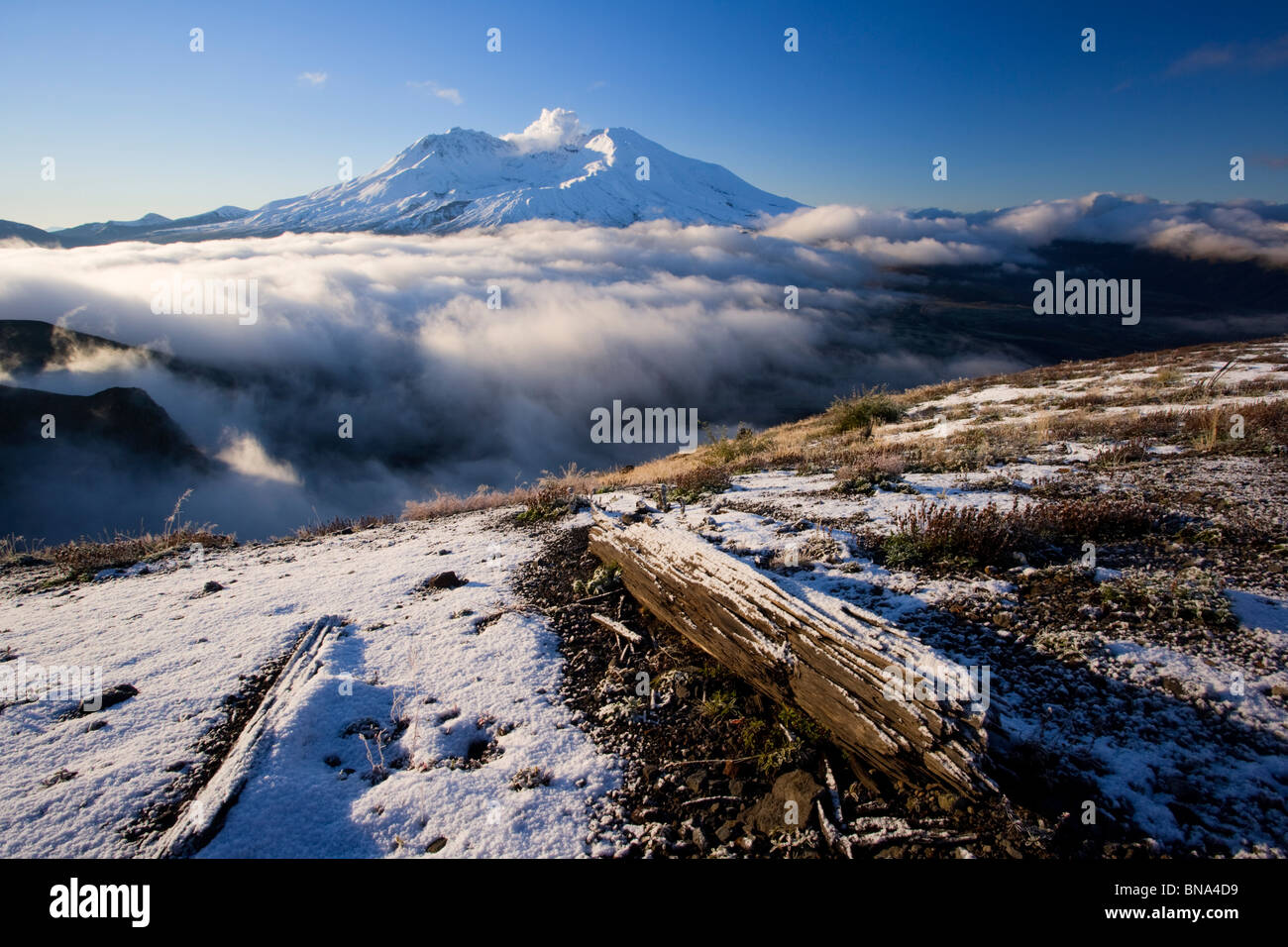 Mt. St. Helens Volcano Nationaldenkmal mit Herbst erste Schnee Stockfoto