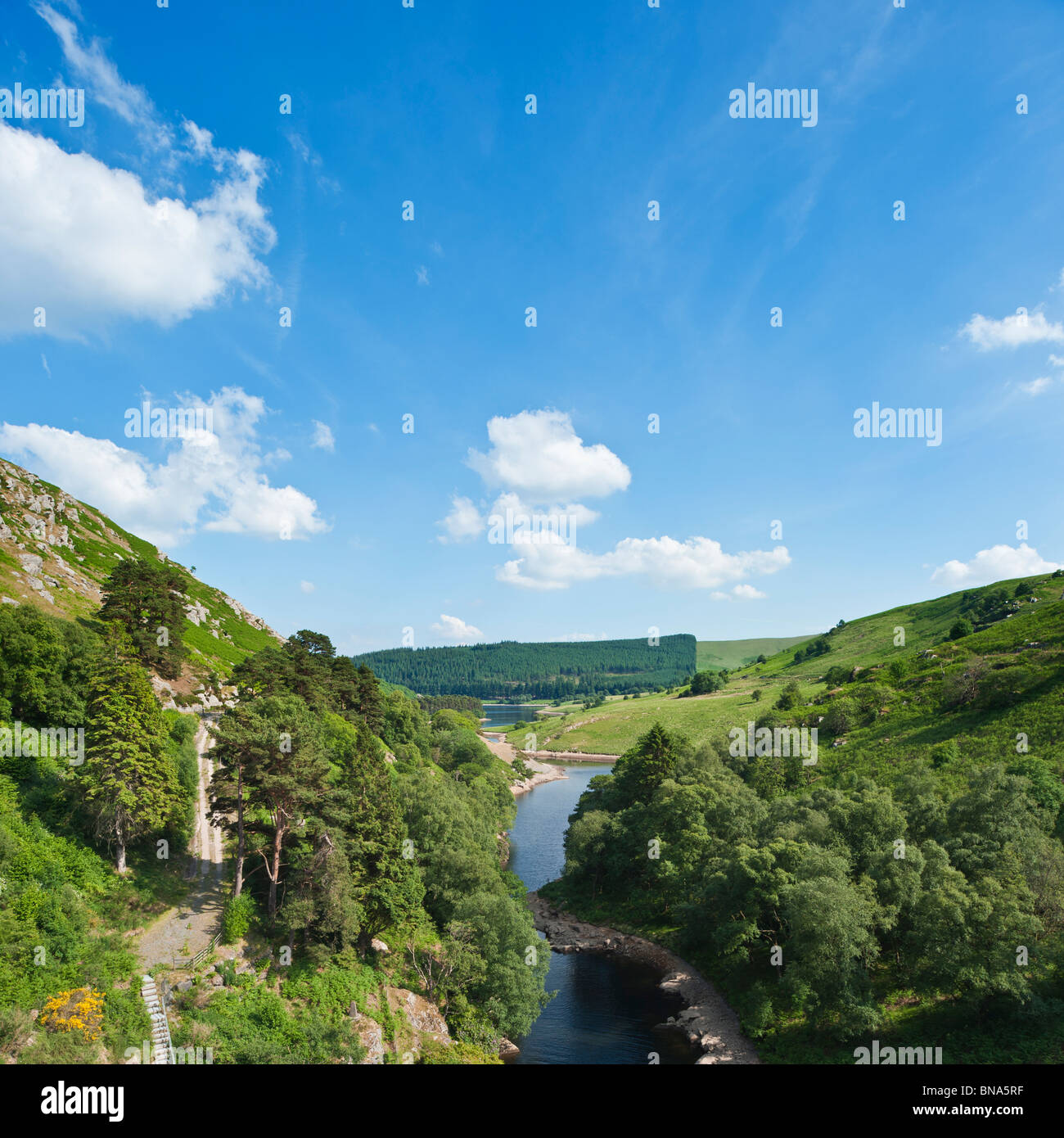 Blick Richtung Pen Y Garreg Reservoir, Elan-Tal, Powys, Wales Stockfoto