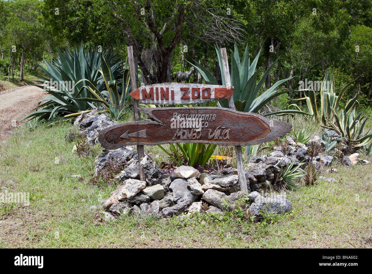 Mini-Zoo in Guardalavaca-Kuba. Stockfoto