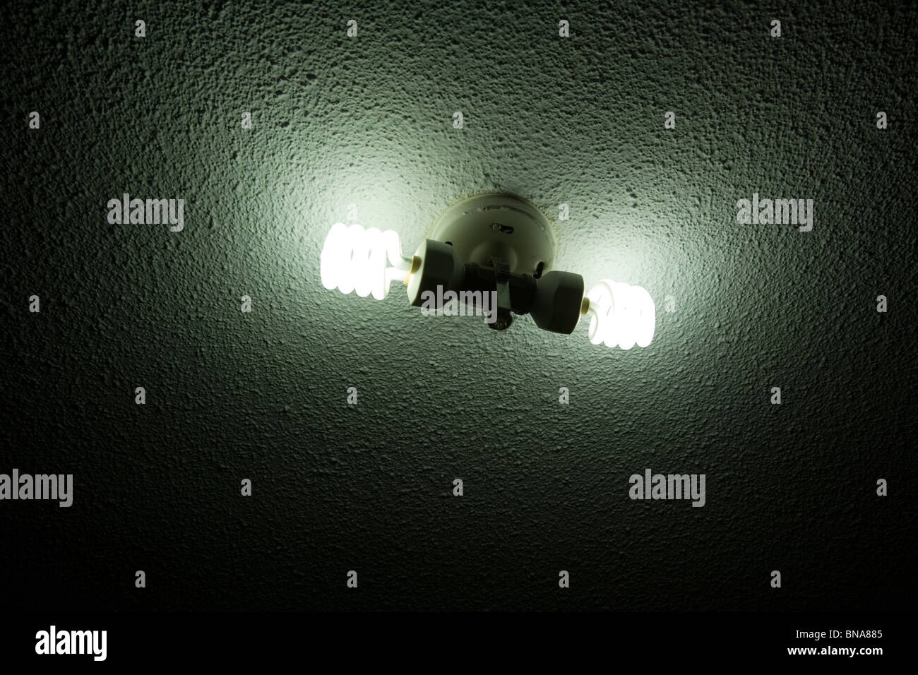 Kompaktes Leuchtstoff Glühbirne an der Decke Stockfoto