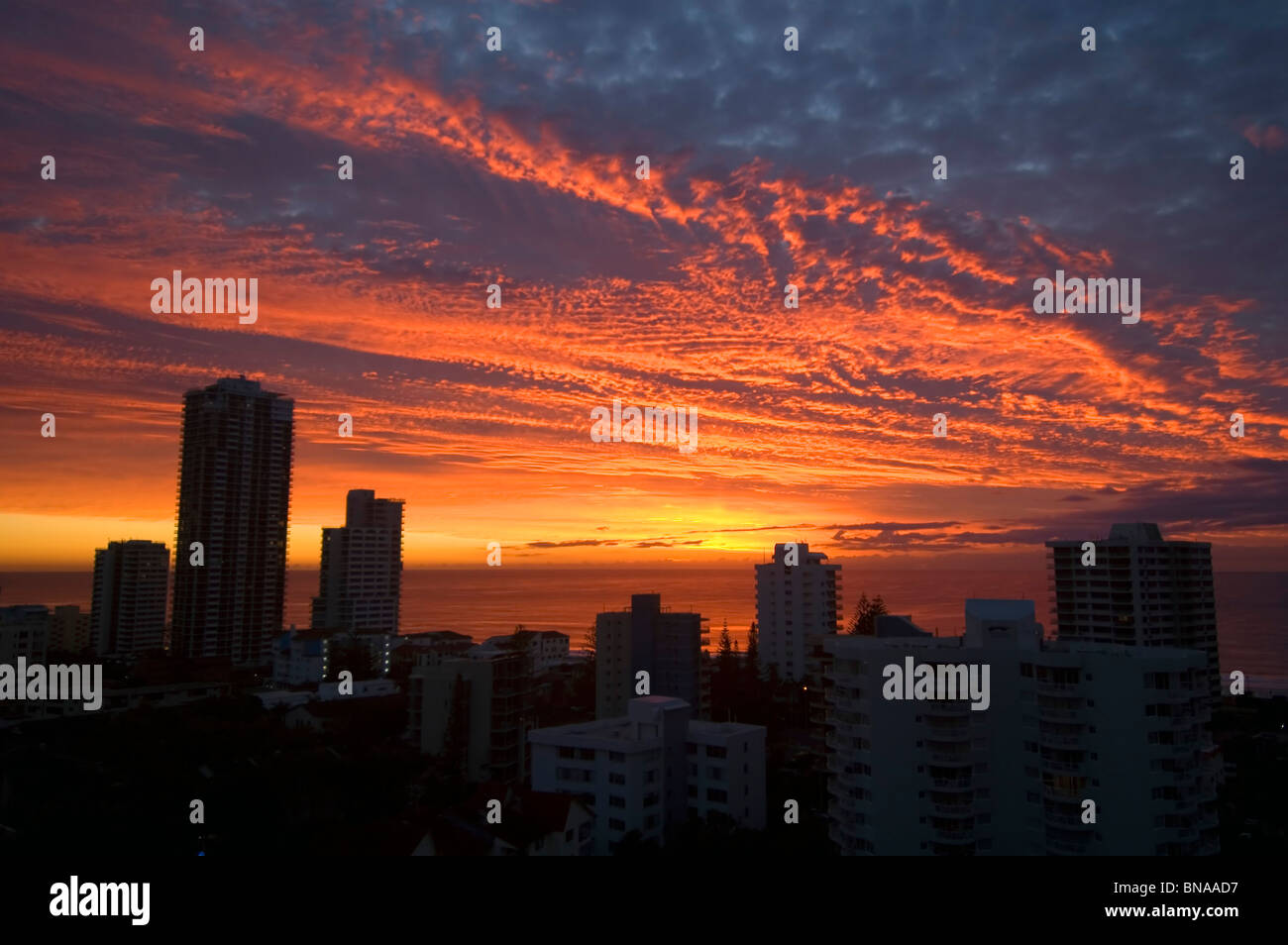 Moderne Küstenstadt in der Morgendämmerung, Surfers Paradise, Gold Coast, Queensland, Australien Stockfoto