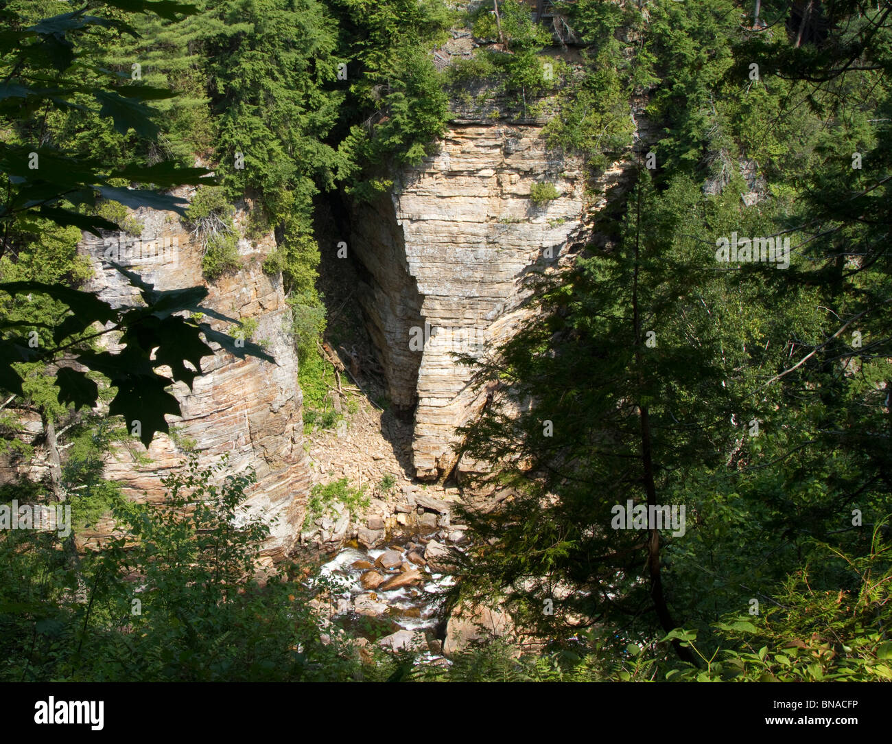 Elefanten Kopf Felsformation am Ausable Chasm. Erschossen von der Felge über den Abgrund. Stockfoto