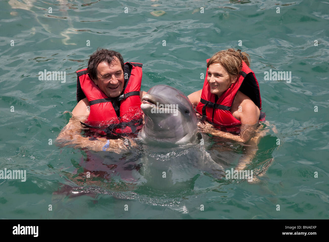 paar posiert für Fotos mit einem Delphin Stockfoto