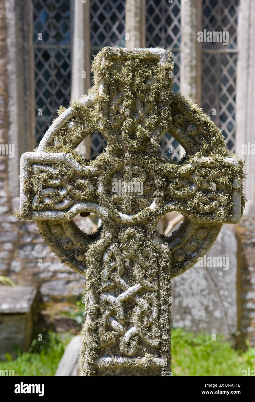 Altes Kreuz auf dem Kirchhof von Morwenstow in Cornwall zeigen keltischen dekorativen Schnitzereien und geschmückt mit Bart Flechten Stockfoto