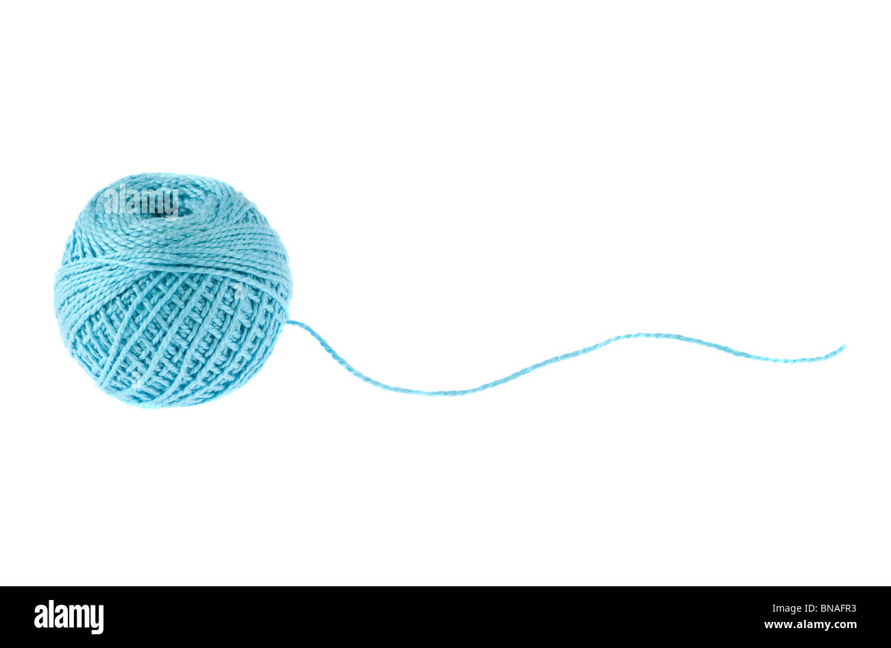 Thread-Schothorn isoliert auf weißem Hintergrund Stockfoto